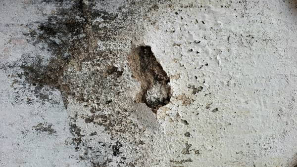 mehanička oštećenja